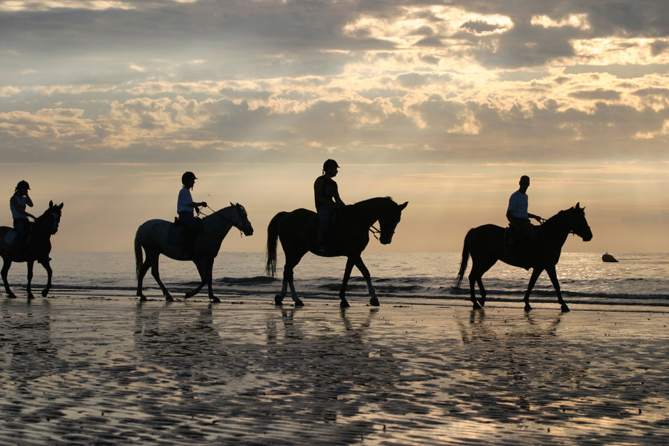 Hire horses for horse trekking and riding trails close to Broadbeach