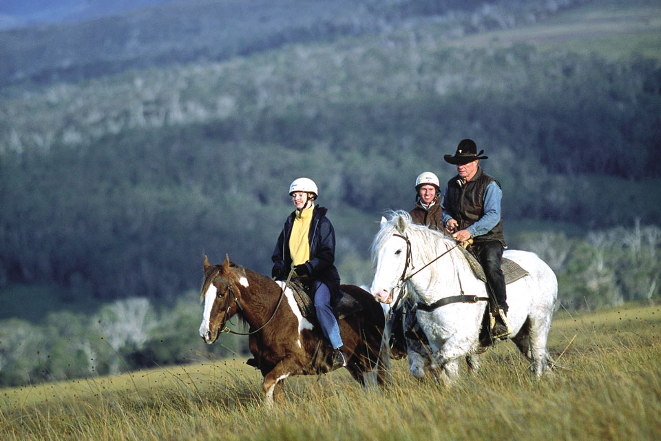 Horse riding treks on Cradle Mountain