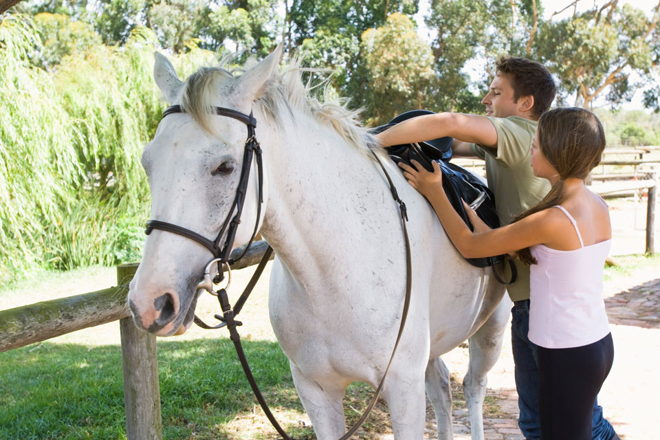 Horse hire and treks available in Bowral